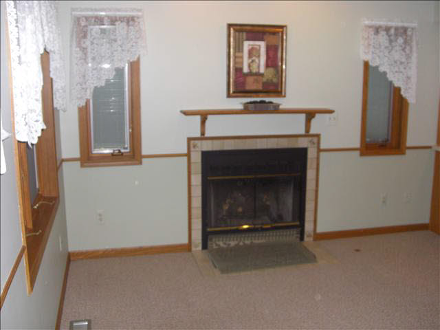 267 Ruff Drive Monroe, MI 48162 - Photo 11 of 13 GAS LOG FIREPLACE