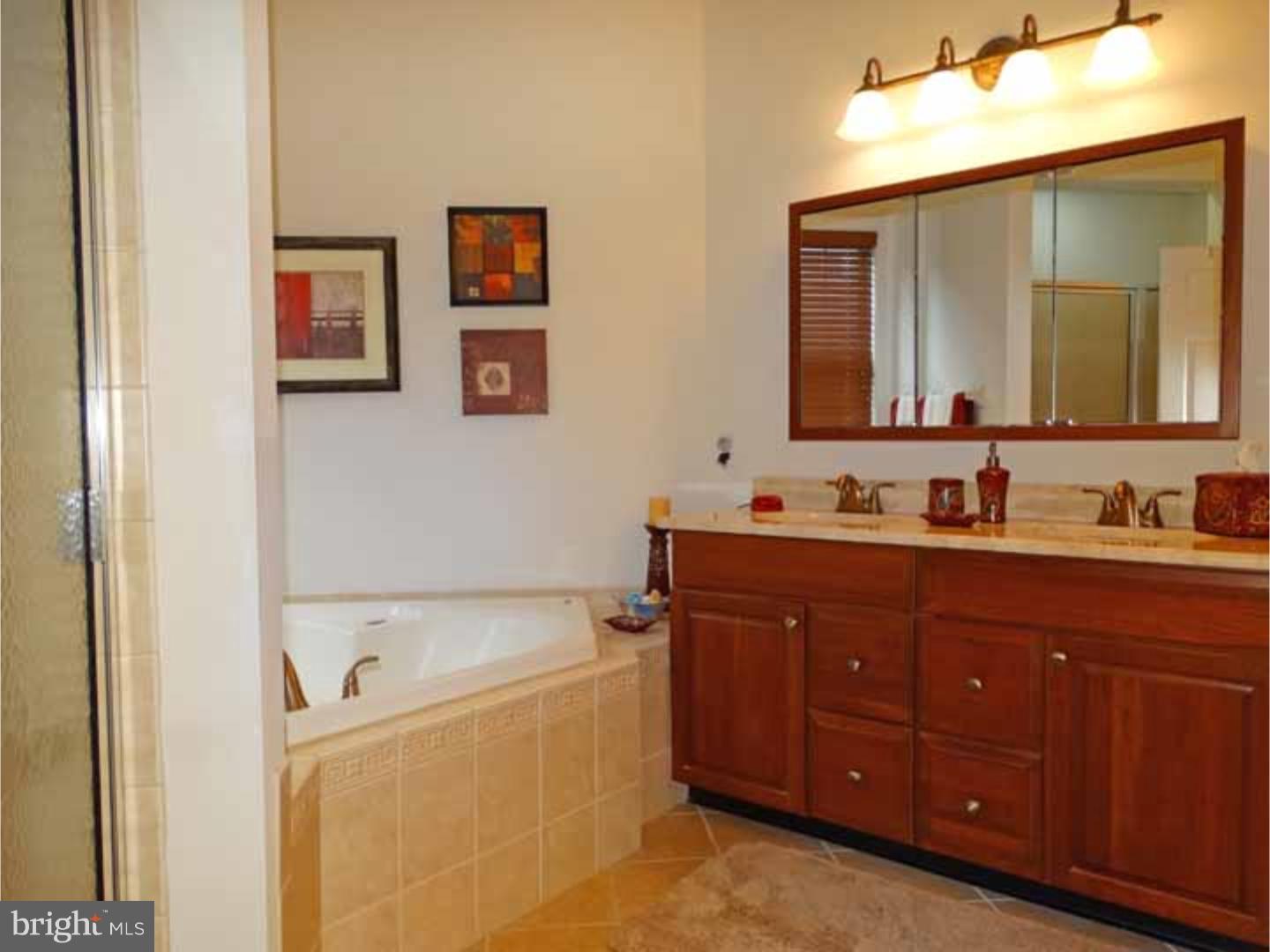 260 Hanover Road Phoenixville, PA 19460 - Photo 16 of 25 Master Bathroom