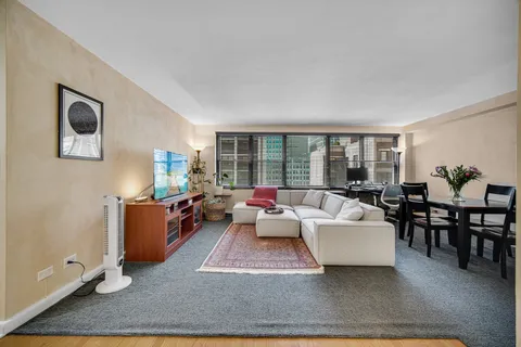 $239,900 | 850 North Dewitt Place, Unit 17H, Chicago, IL 60611