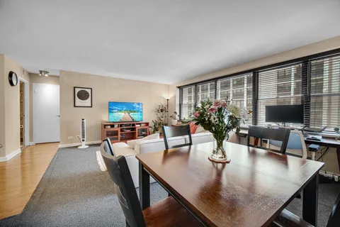 $239,900 | 850 North Dewitt Place, Unit 17H, Chicago, IL 60611