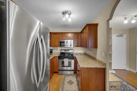 $239,900 | 850 North Dewitt Place, Unit 17H, Chicago, IL 60611