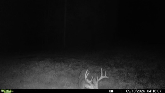 Spence Hill Road Caldwell, OH 43724 - Photo 38 of 49 Gallery Image 38