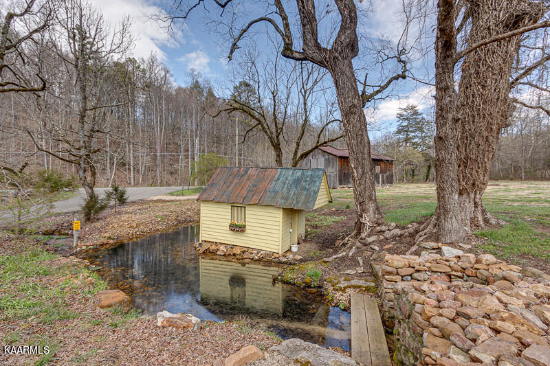 1310 Lark Road Newport, TN 37821 - Photo 40 of 60 Spring fed creek