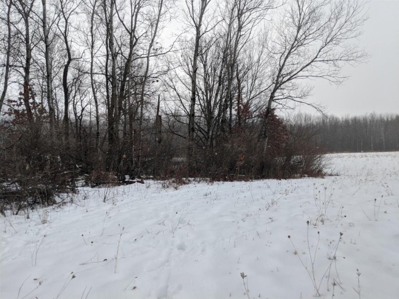 V/l North Larson Road Custer, MI 49405 - Photo 6 of 10