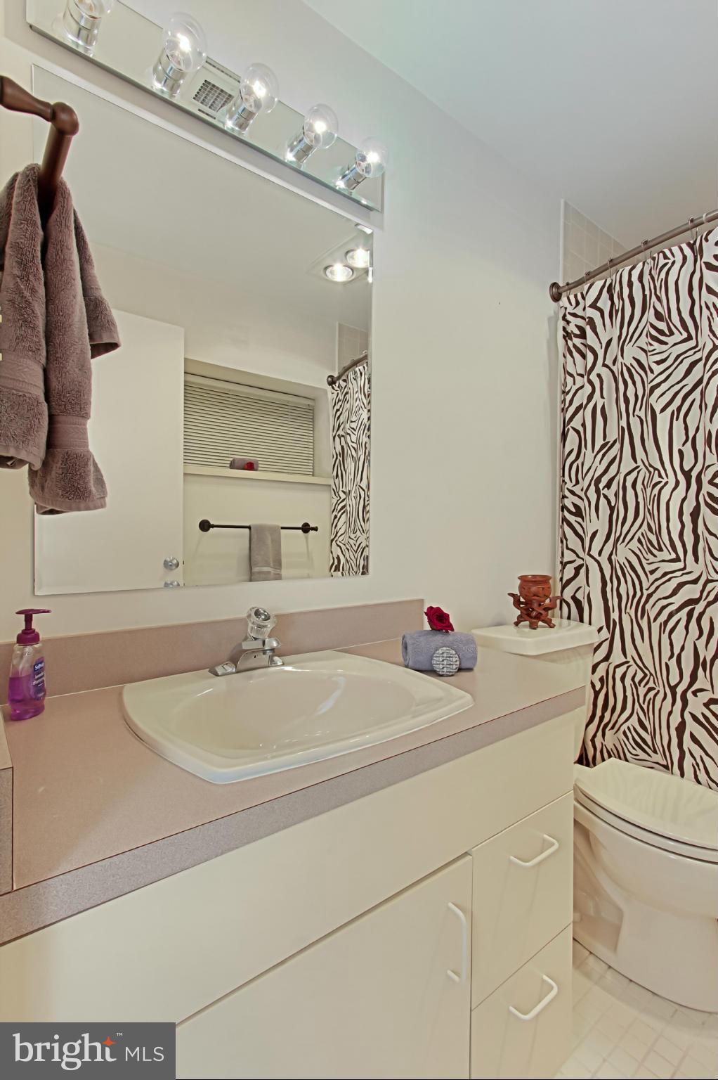 1681 Cedar Hollow Way Reston, VA 20194 - Photo 25 of 30 Bath