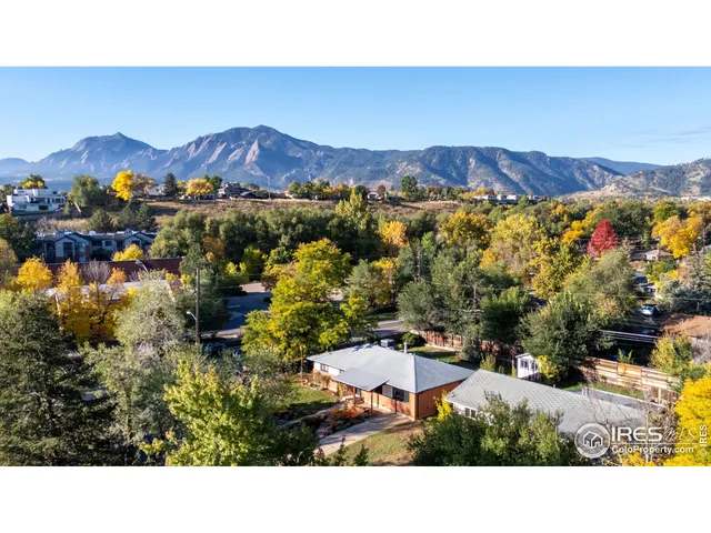 a view of a backyard with plants and a mountain