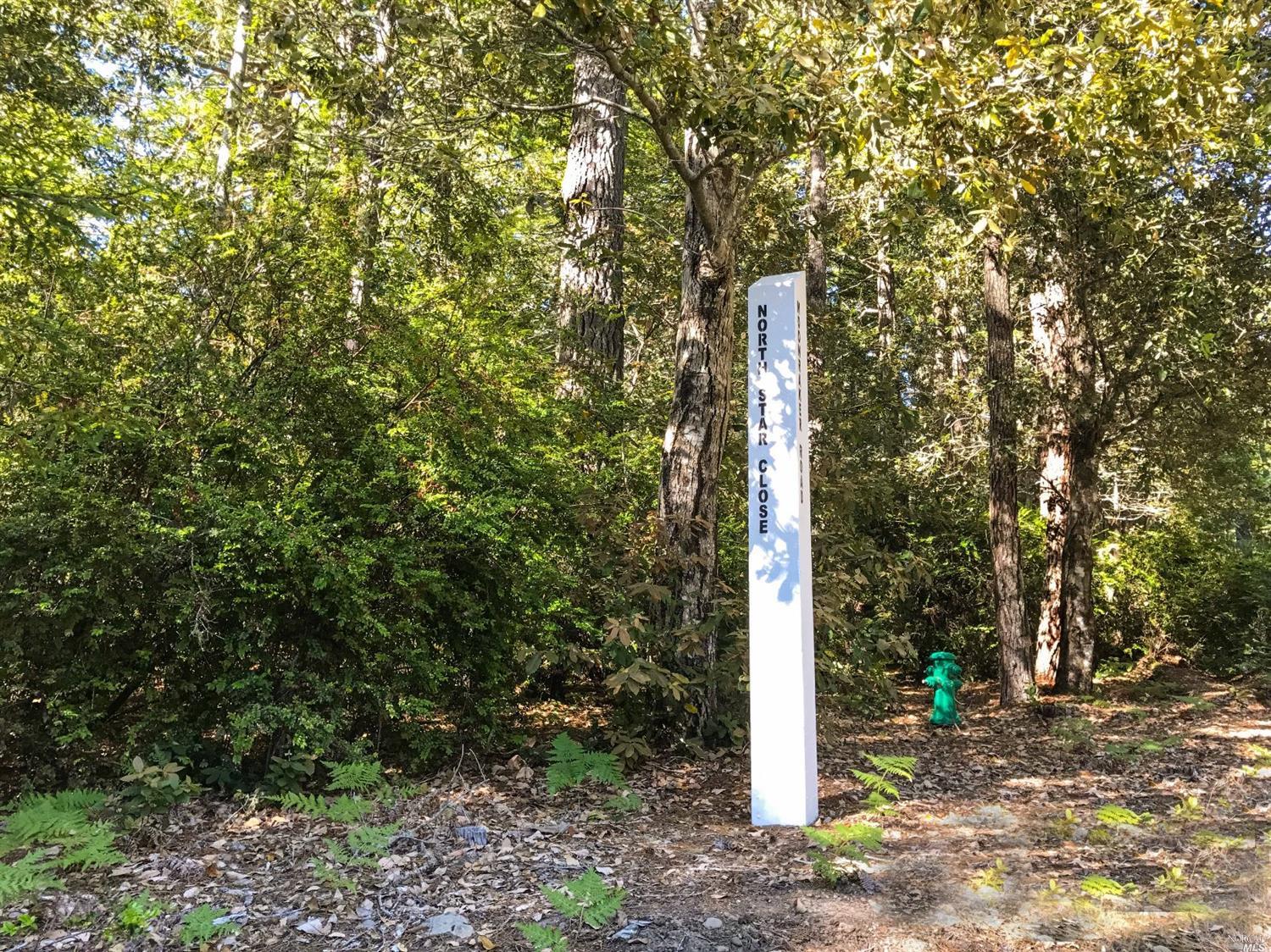 35129 North Star Close The Sea Ranch The Sea Ranch, CA 95497 - Photo 1 of 1 High speed, fiber optic Internet availability and underground utilities enhance the private, park-like setting on this level, +1/3-acre lot in the beautiful coastal forest.