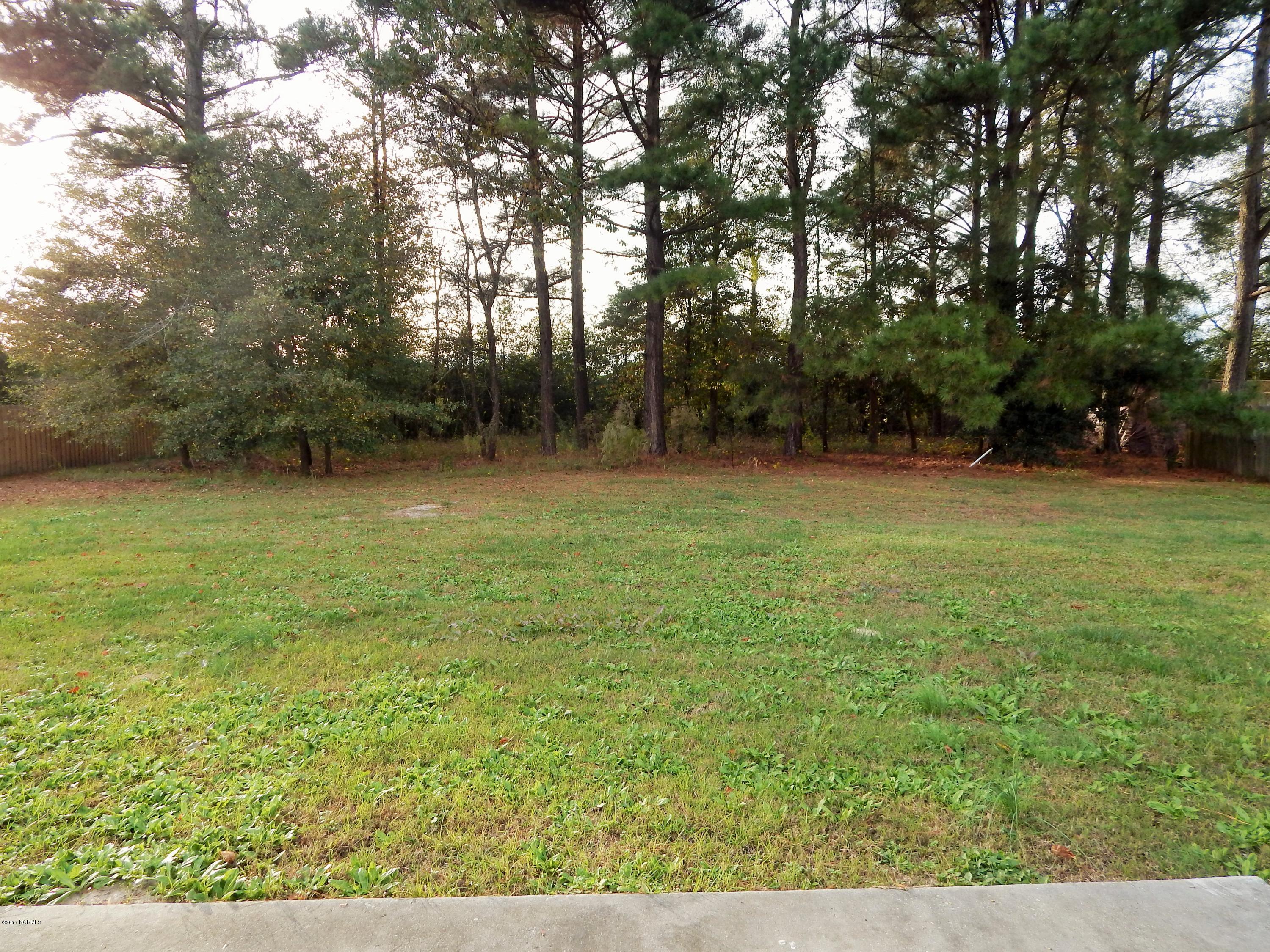 116 Meadow Farms Road Richlands, NC 28574 - Photo 25 of 27 DSCN3848
