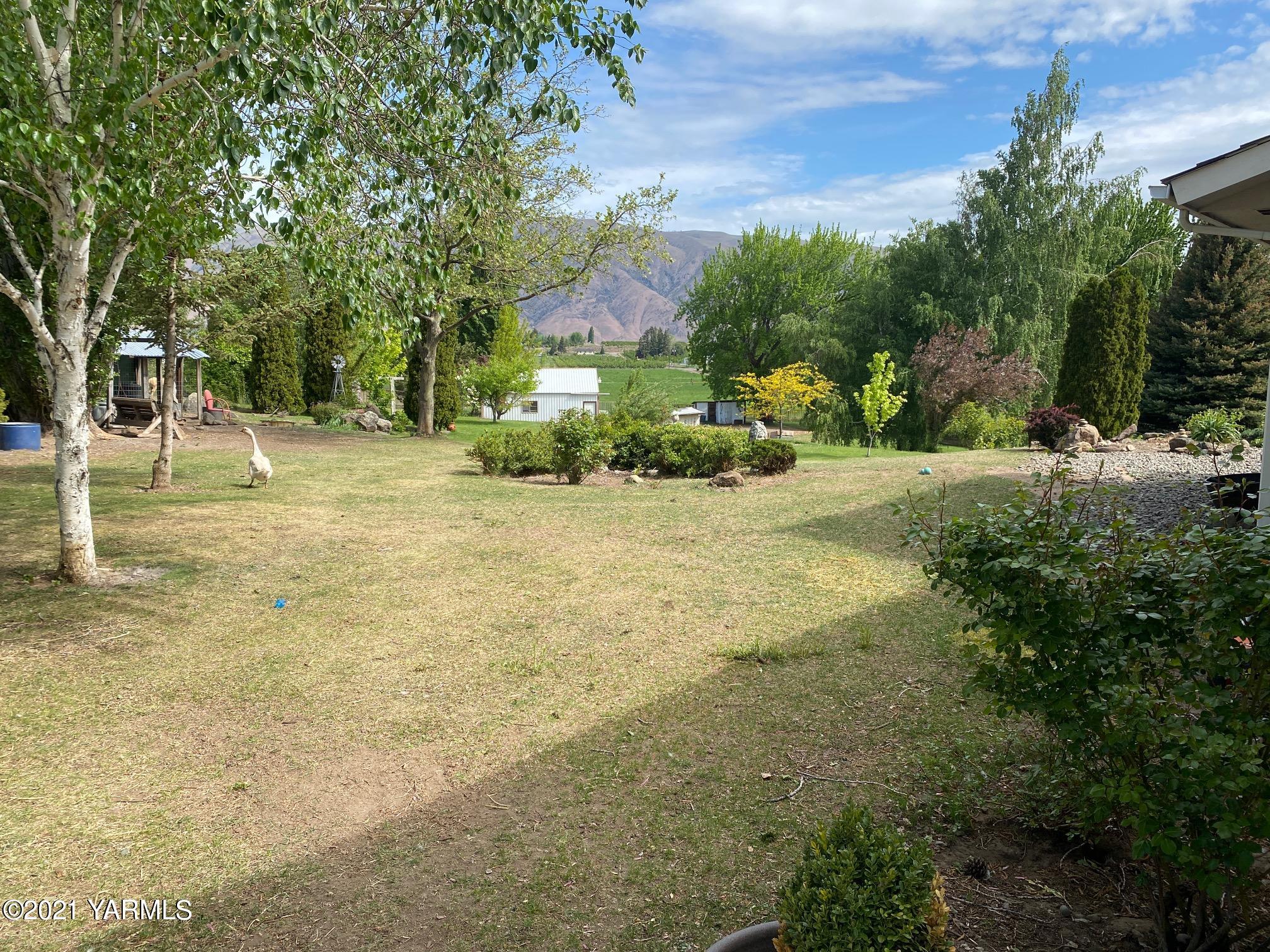 1260 Beffa Road Tieton, WA 98947 - Photo 30 of 38 a view of a yard with a tree