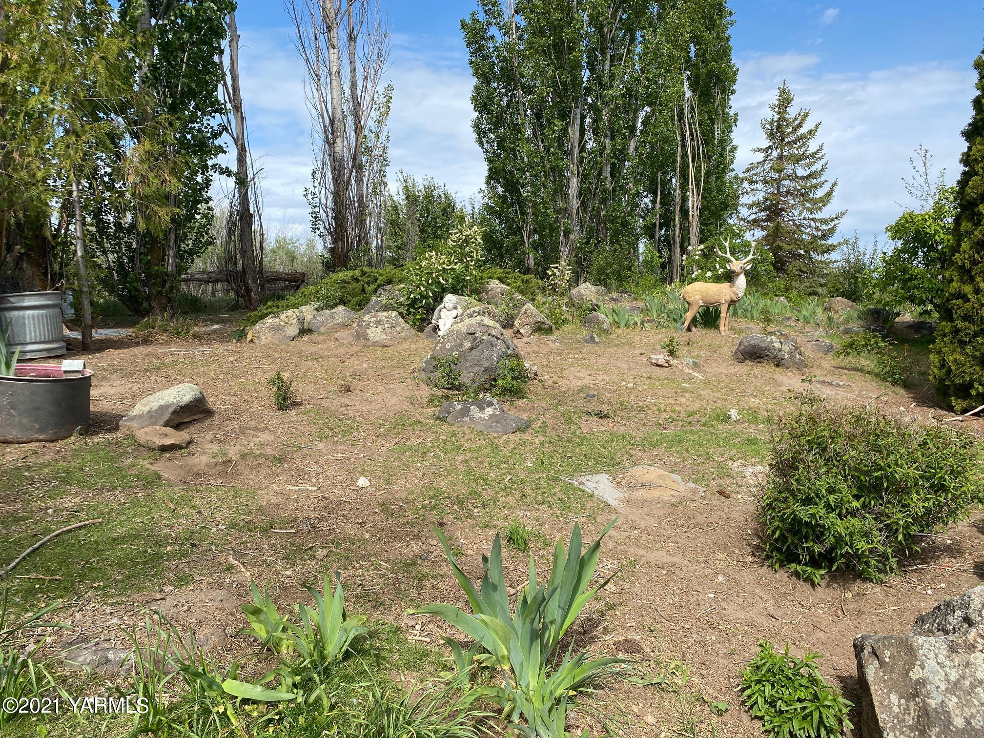 1260 Beffa Road Tieton, WA 98947 - Photo 34 of 38 a view of a yard with plants and trees