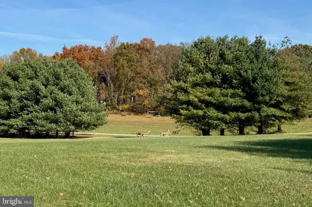 $95,000 | Still Pond Creek Road, Worton, MD 21678