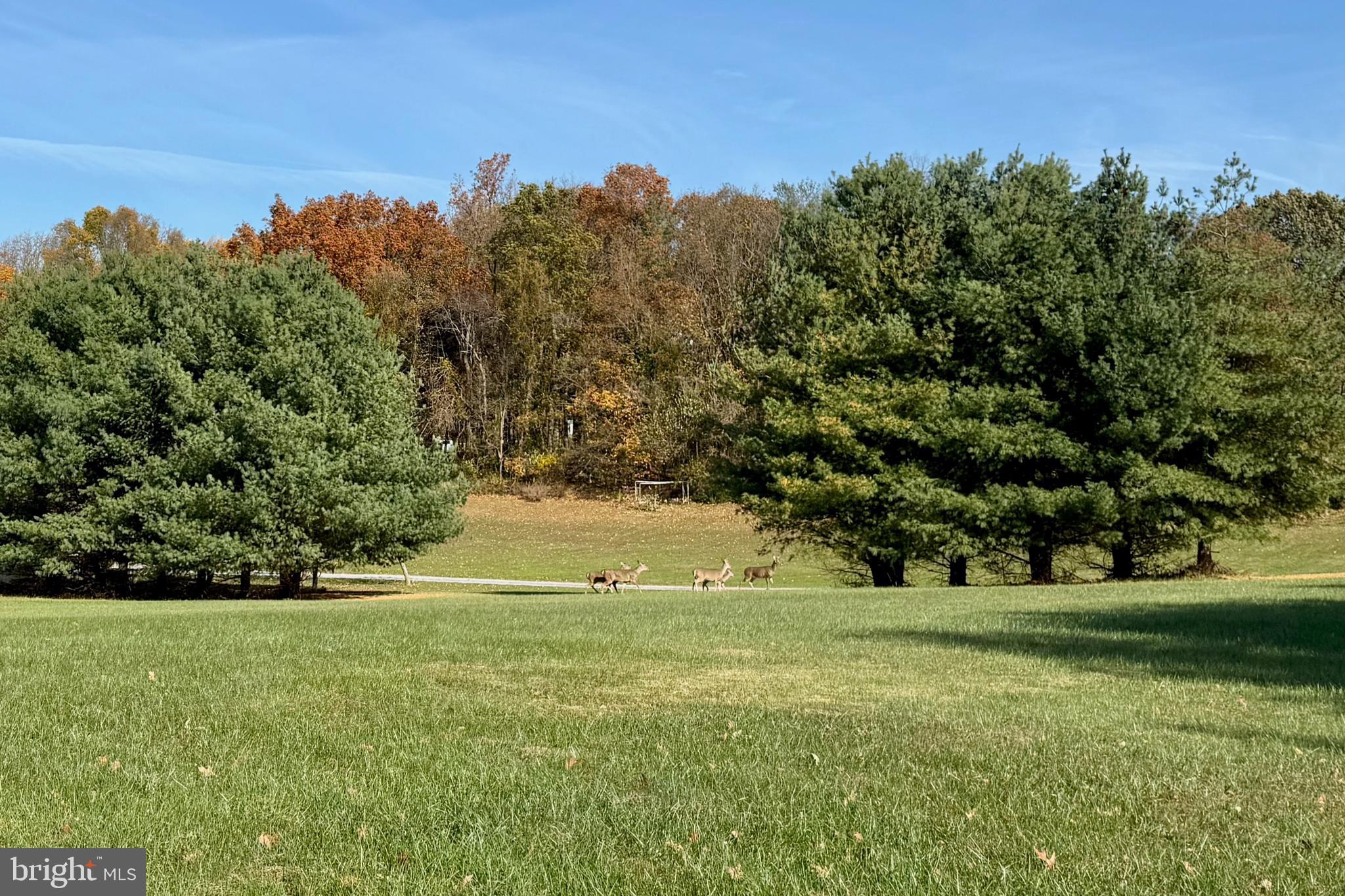 Still Pond Creek Road Worton, MD 21678 - Photo 2 of 9 a view of a green field