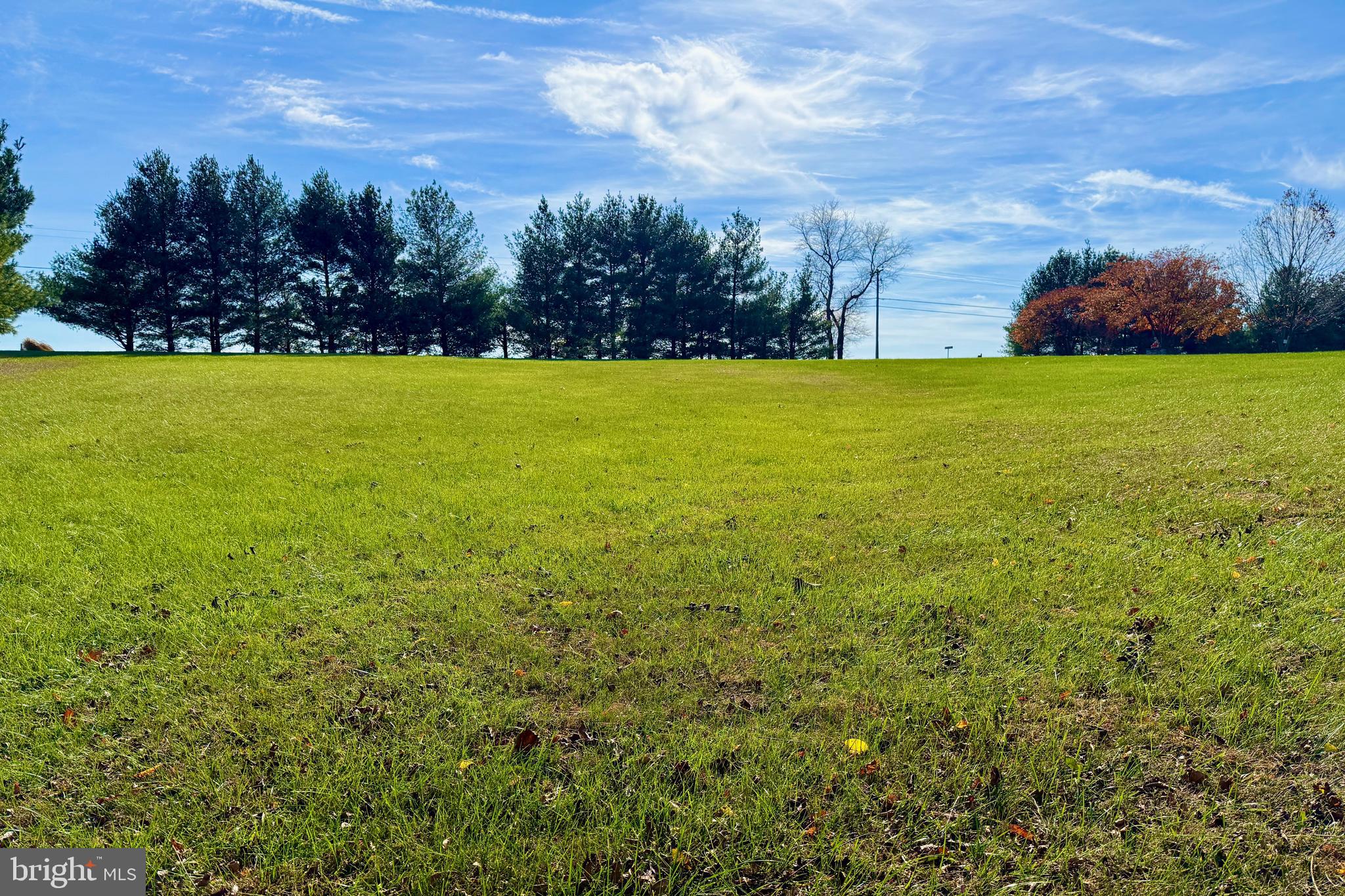 Still Pond Creek Road Worton, MD 21678 - Photo 5 of 9 a view of yard with swimming pool and green space