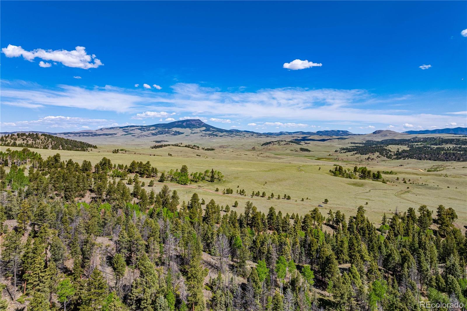 298 Steven Road Canon City, CO 81212 - Photo 8 of 35