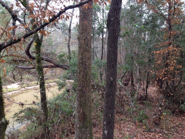 2255 Lower Gloster Road Gloster, MS 39638 - Photo 1 of 1 Main View