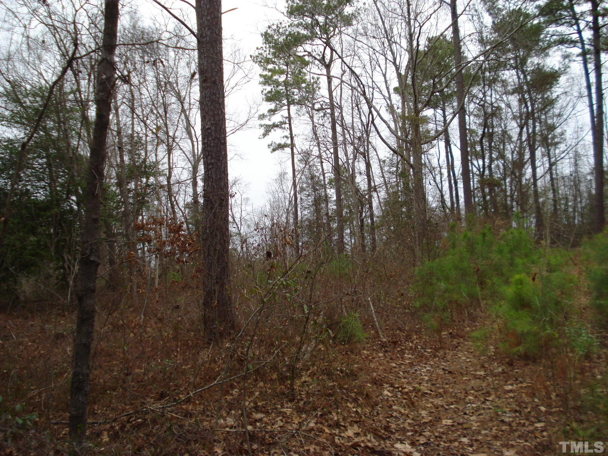 600 Graham Pond Road, Unit GRAHAM POND ROAD Angier, NC 27501 - Photo 11 of 15 a view of forest