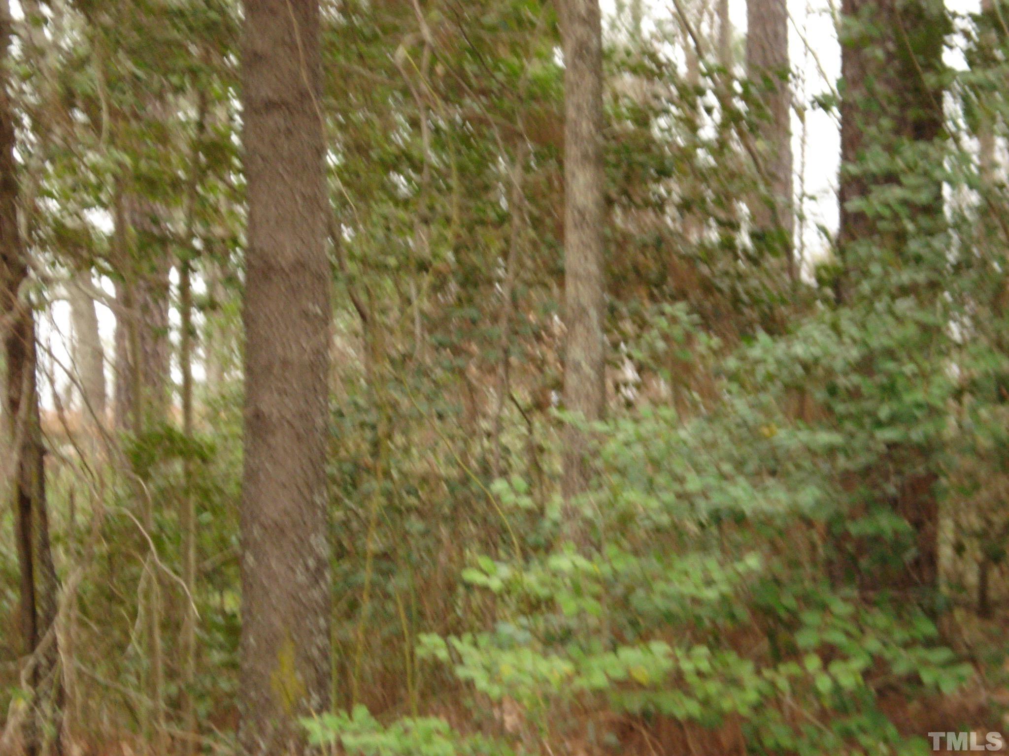 600 Graham Pond Road, Unit GRAHAM POND ROAD Angier, NC 27501 - Photo 13 of 15 a view of a yard