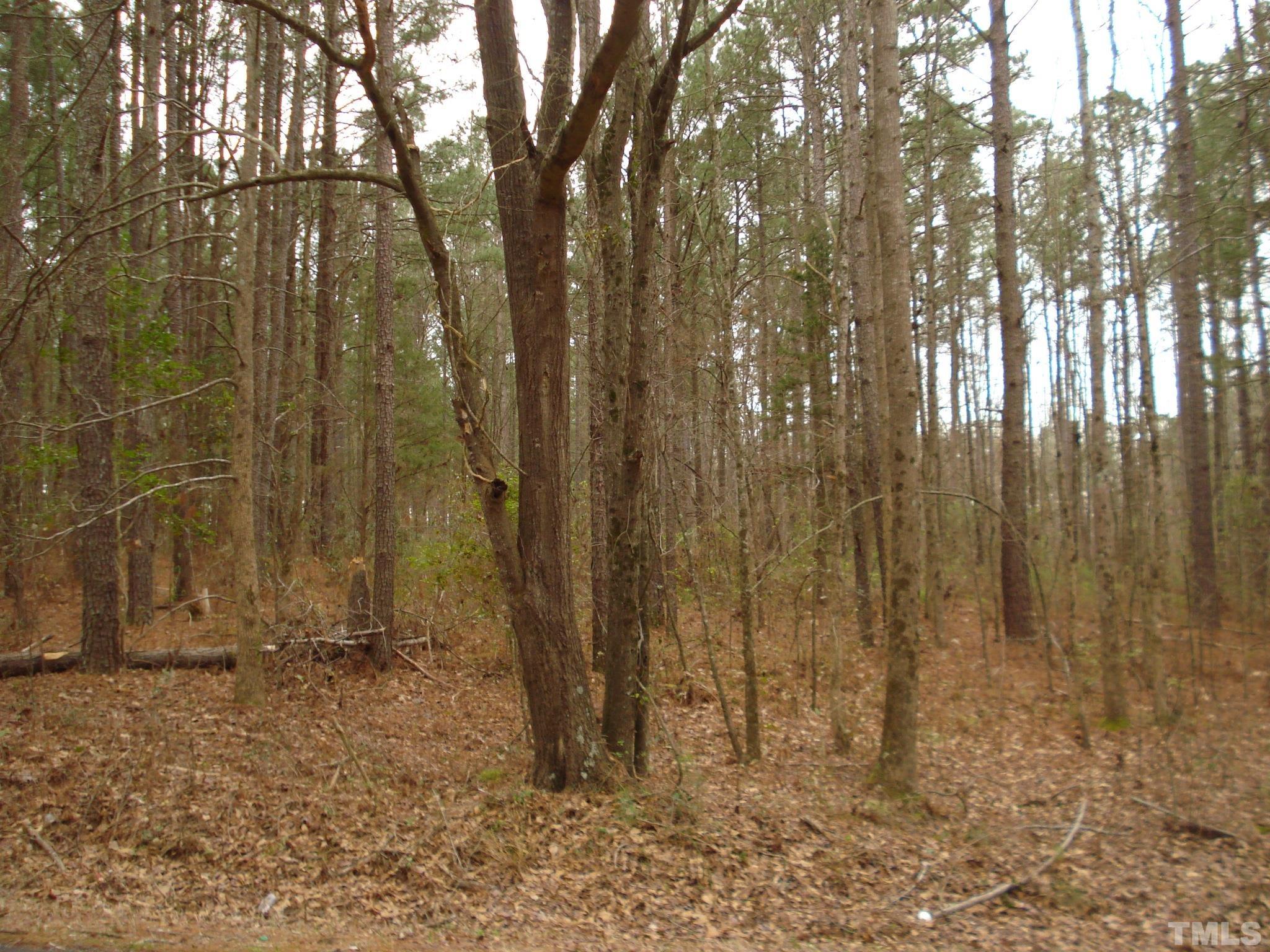 600 Graham Pond Road, Unit GRAHAM POND ROAD Angier, NC 27501 - Photo 5 of 15