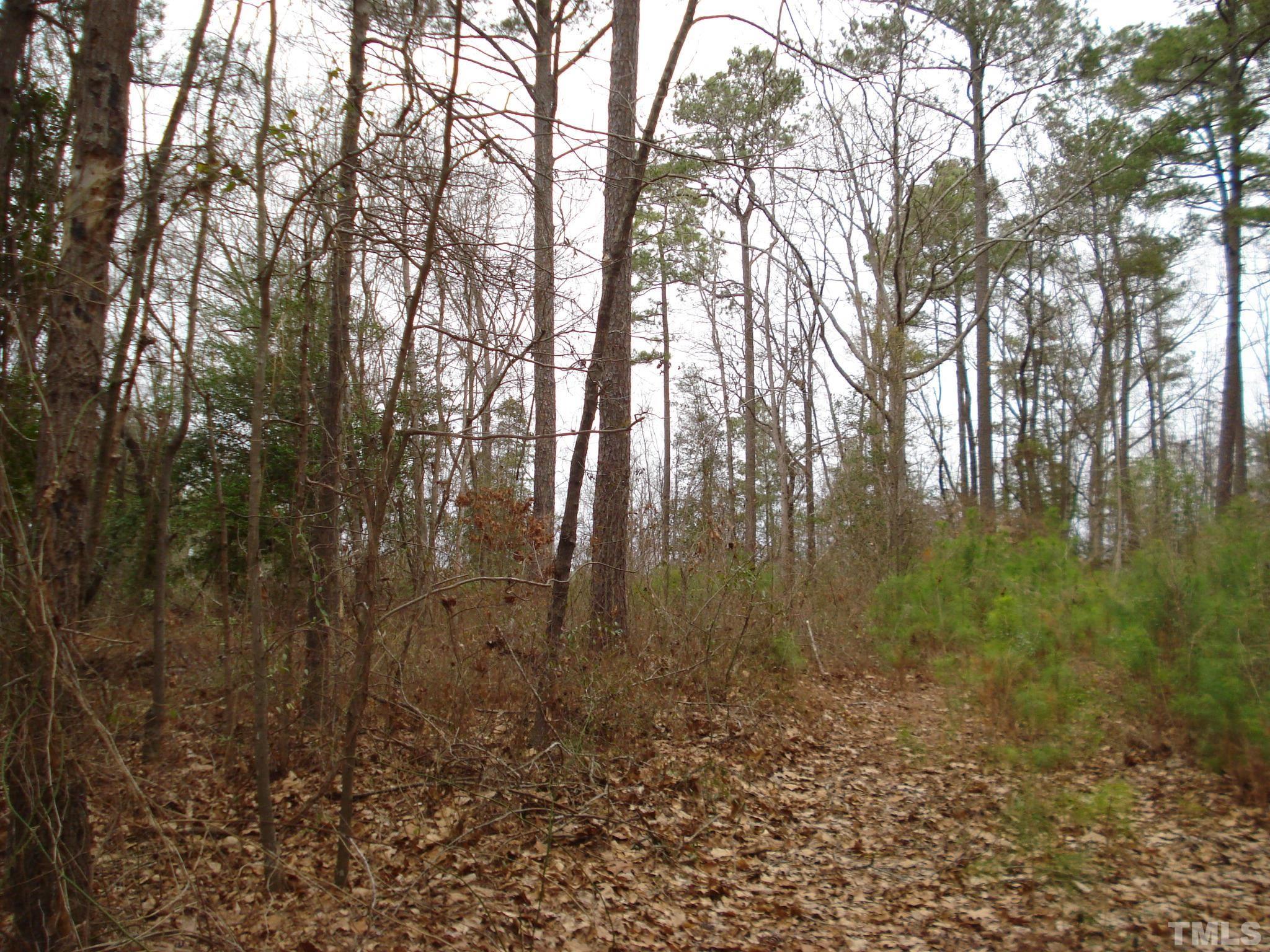 600 Graham Pond Road, Unit GRAHAM POND ROAD Angier, NC 27501 - Photo 7 of 15 a view of forest