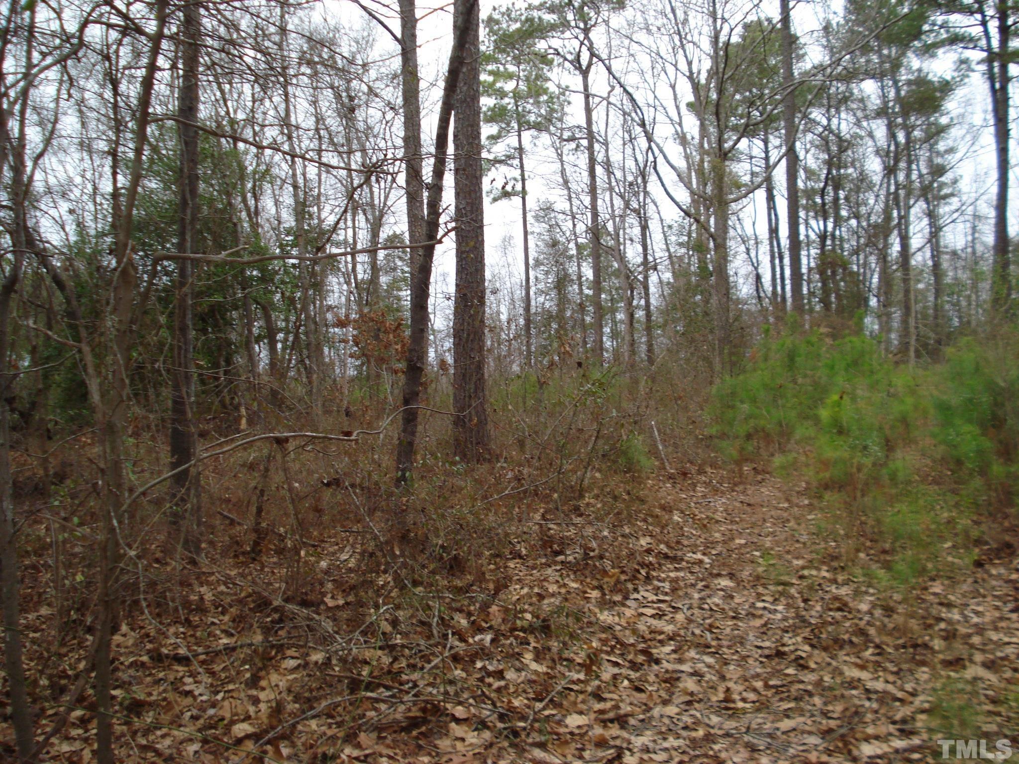 600 Graham Pond Road, Unit GRAHAM POND ROAD Angier, NC 27501 - Photo 8 of 15 a view of a yard with large trees
