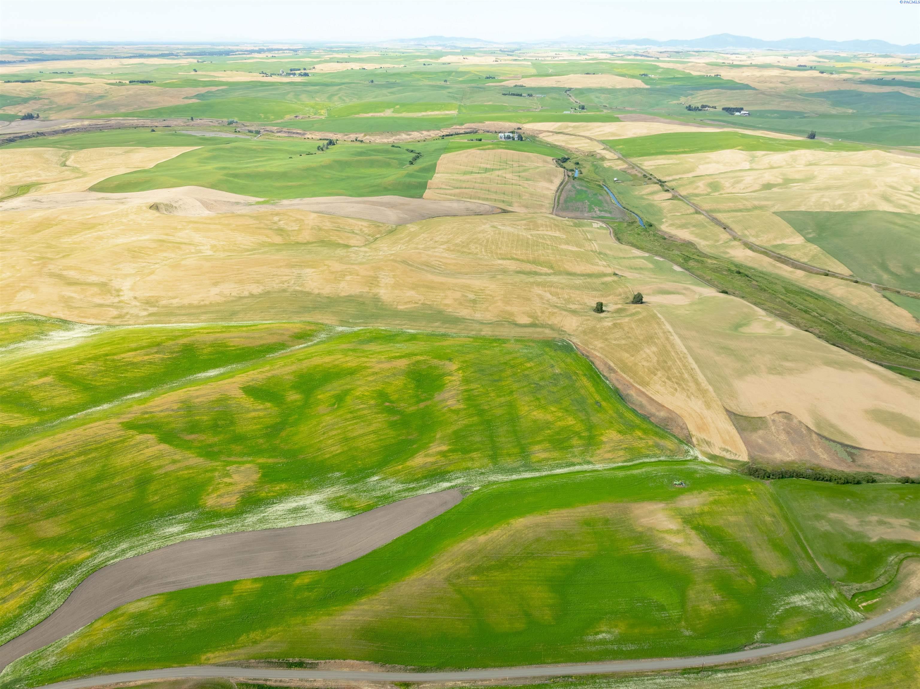 Tbd Bongarts Road Rosalia, WA 99170 - Photo 12 of 12 Gallery Image 12