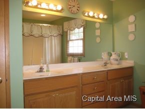 12 Spring Street Riverton, IL 62561 - Photo 9 of 24 Gallery Image 9