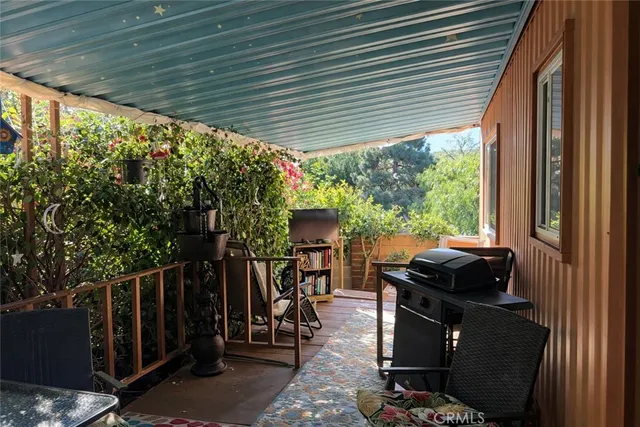 a view of a garden with large trees