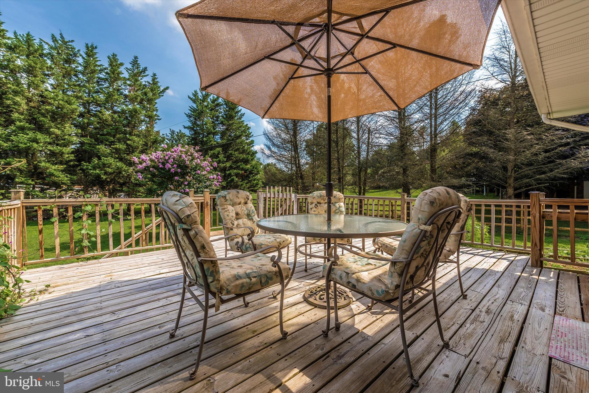 4937 Elmer Derr Road Frederick, MD 21703 - Photo 49 of 61 Deck