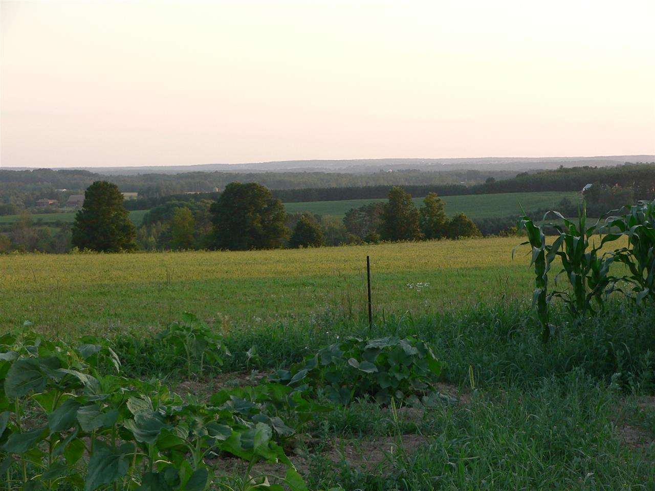 20-acres Hillview Road Wausau, WI 54403 - Photo 1 of 1