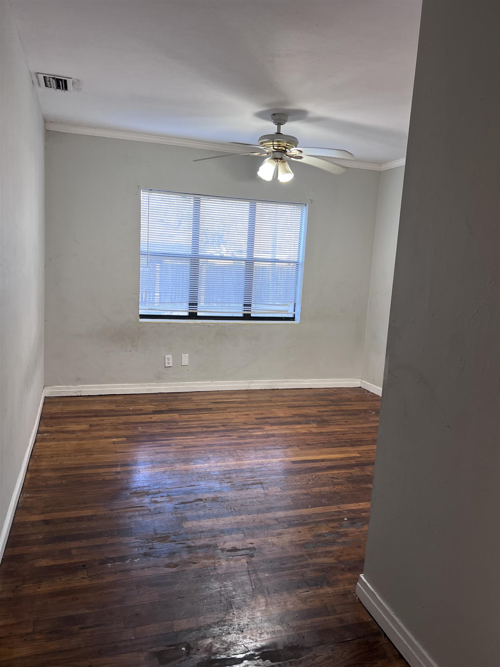 2001 Daisy Street Tallahassee, FL 32310 - Photo 4 of 25