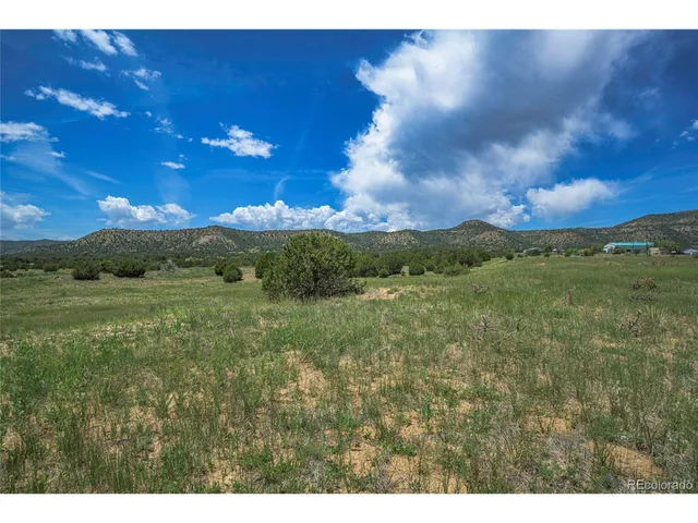 a view of a big yard with lots of green space