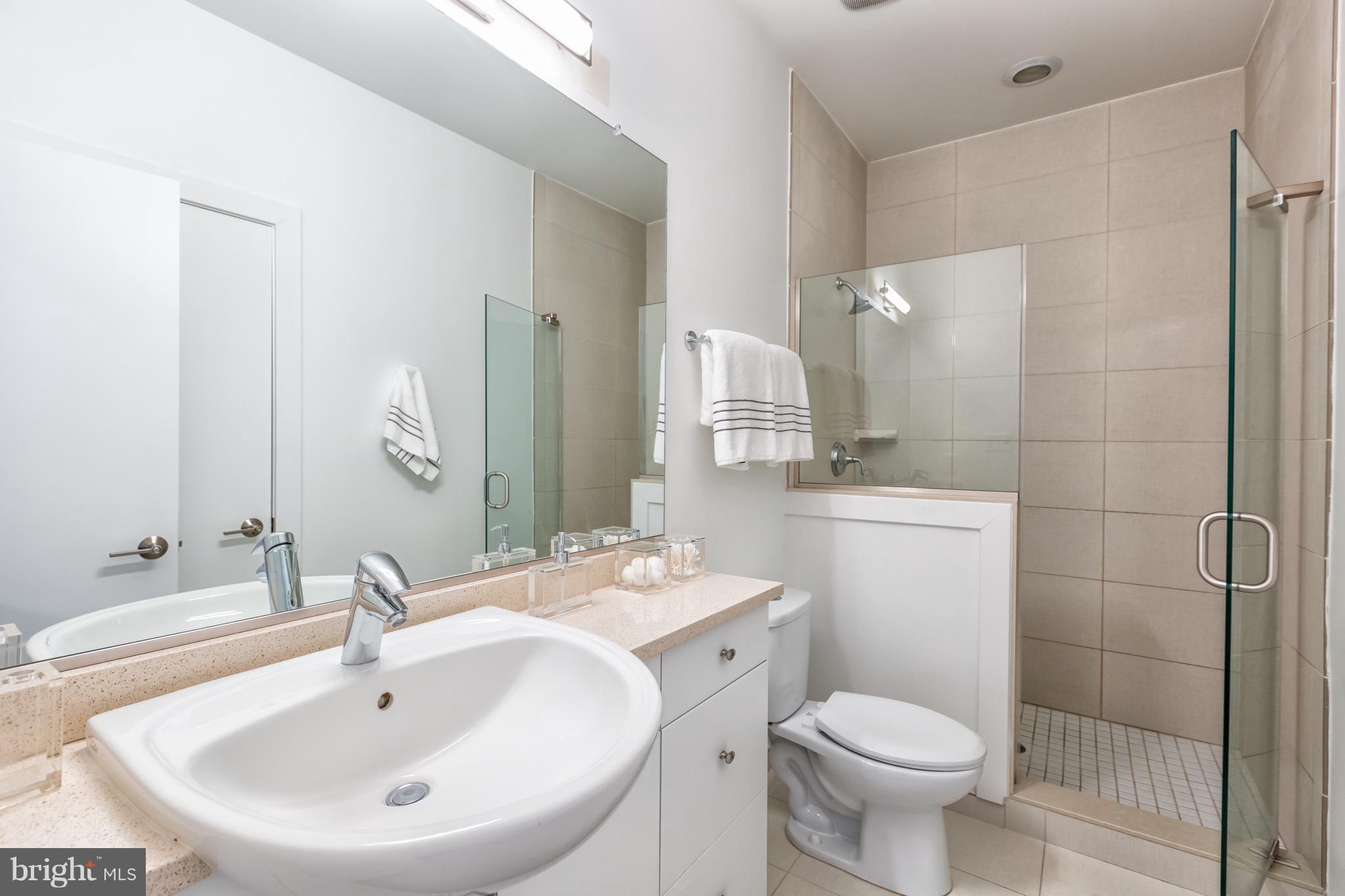 239 R Street Northeast, Unit B Washington, DC 20002 - Photo 14 of 20 Bath (Master)