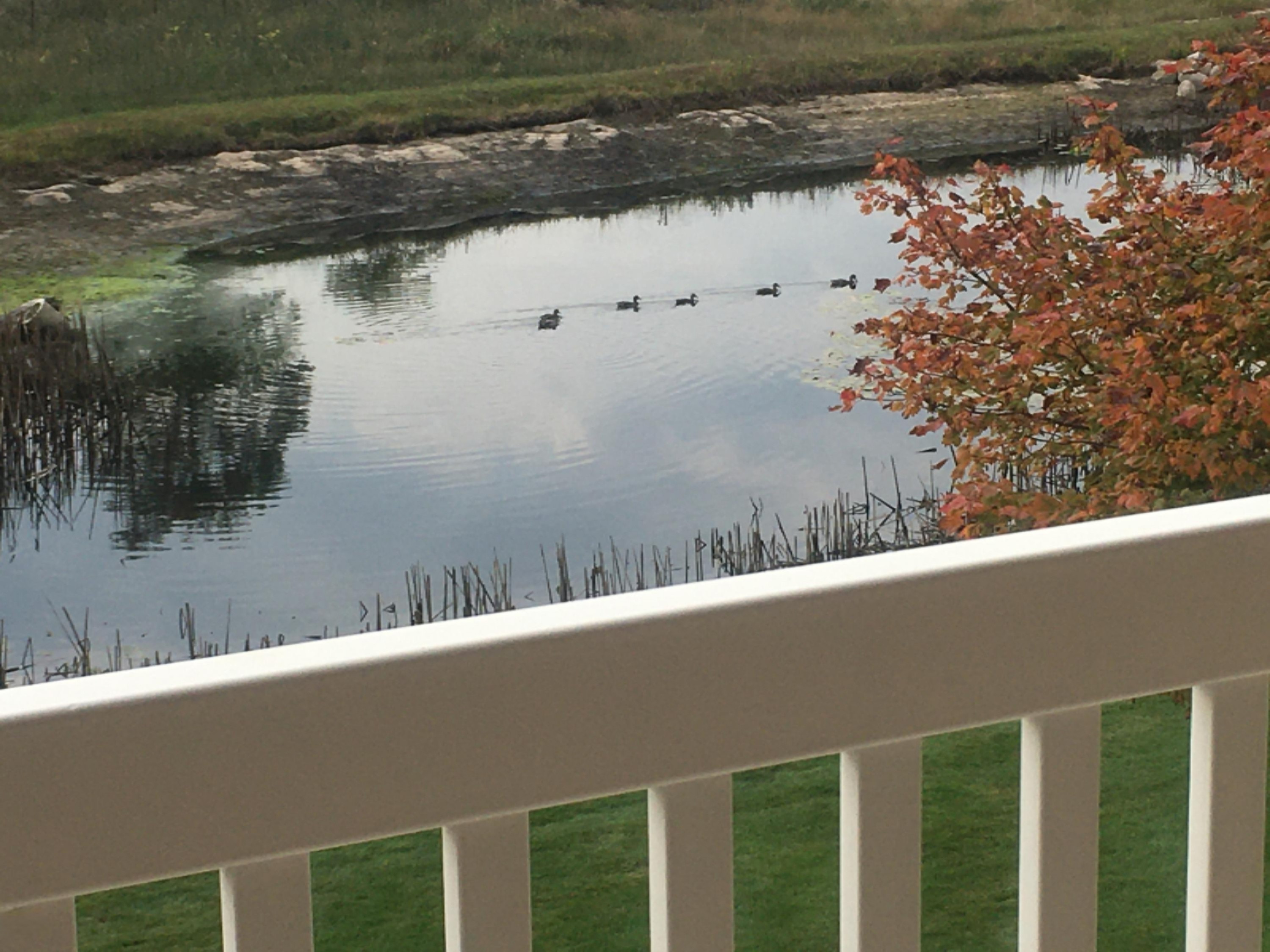 57 Anchor Rode Drive Manistee, MI 49660 - Photo 30 of 41 Pond from upper deck