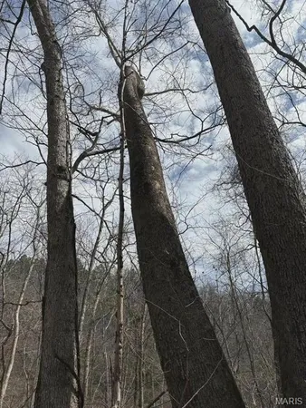 $299,000 | 3528 County Road 329, Ava, MO 65608