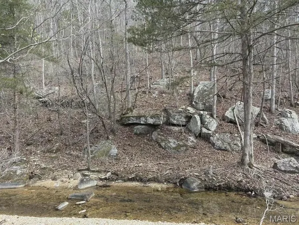 $299,000 | 3528 County Road 329, Ava, MO 65608