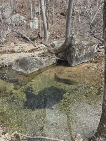 $299,000 | 3528 County Road 329, Ava, MO 65608