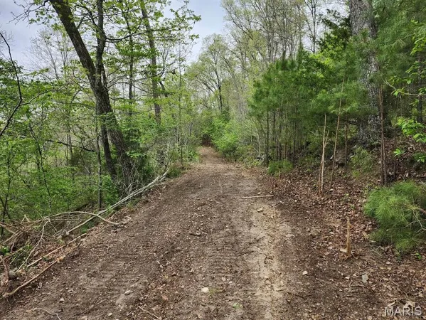 $299,000 | 3528 County Road 329, Ava, MO 65608