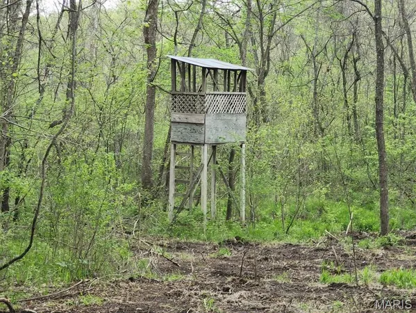 $299,000 | 3528 County Road 329, Ava, MO 65608