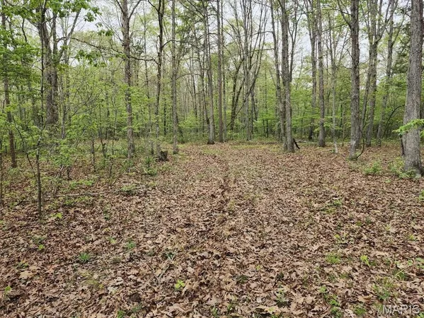 $299,000 | 3528 County Road 329, Ava, MO 65608