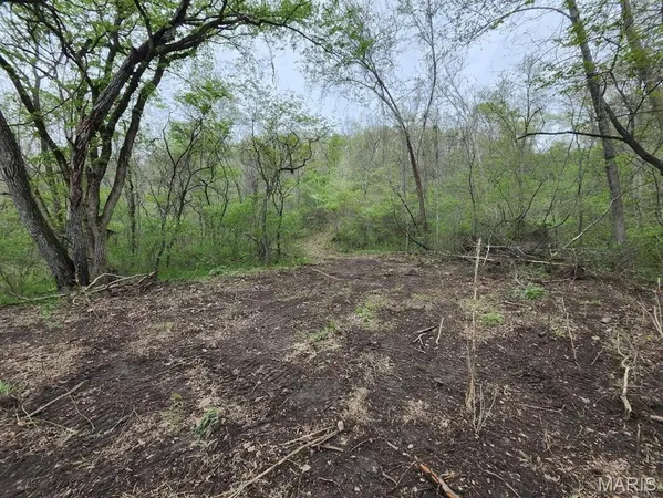 $299,000 | 3528 County Road 329, Ava, MO 65608