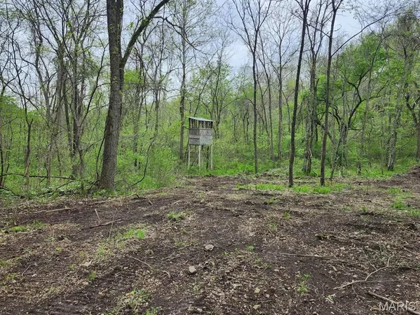 $299,000 | 3528 County Road 329, Ava, MO 65608