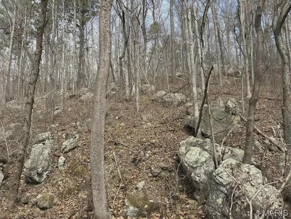 $299,000 | 3528 County Road 329, Ava, MO 65608