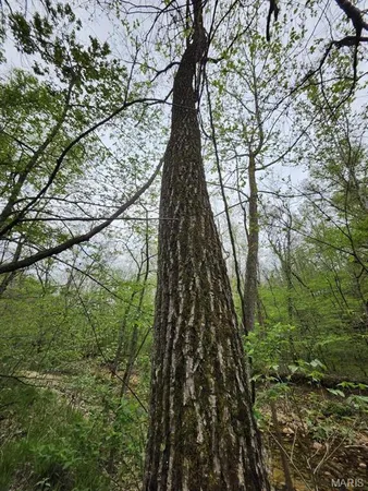 $299,000 | 3528 County Road 329, Ava, MO 65608