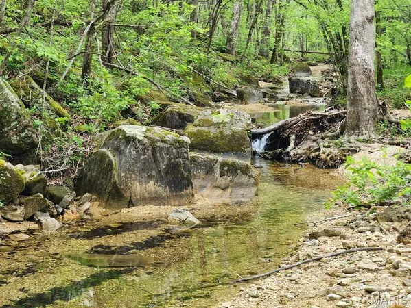 $299,000 | 3528 County Road 329, Ava, MO 65608