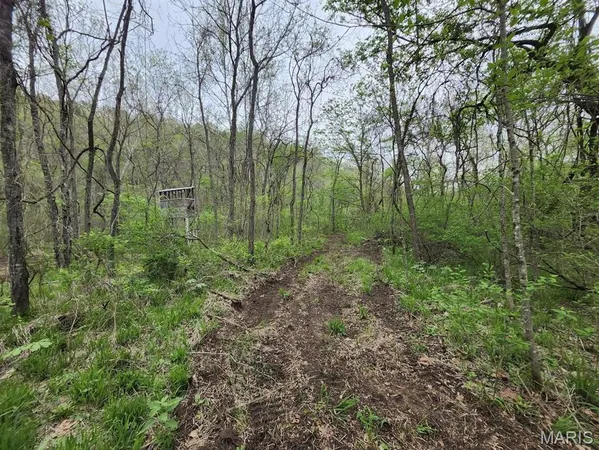 $299,000 | 3528 County Road 329, Ava, MO 65608