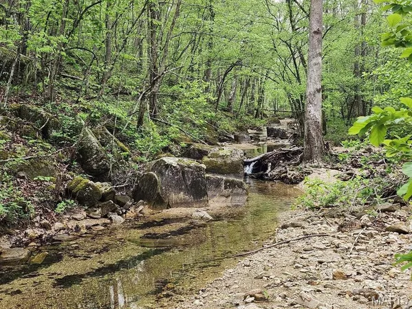 $299,000 | 3528 County Road 329, Ava, MO 65608