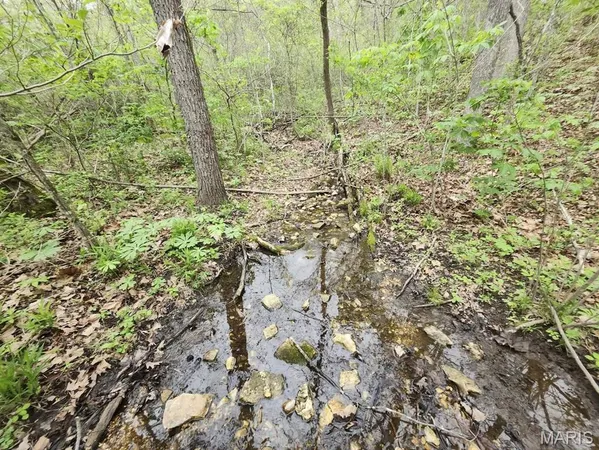 $299,000 | 3528 County Road 329, Ava, MO 65608