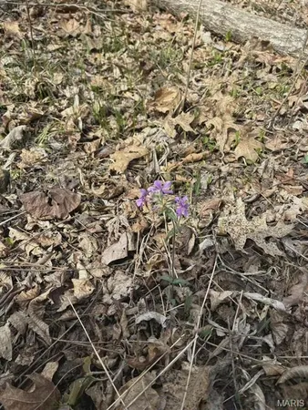 $299,000 | 3528 County Road 329, Ava, MO 65608