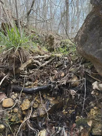 $299,000 | 3528 County Road 329, Ava, MO 65608