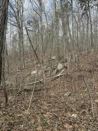 $299,000 | 3528 County Road 329, Ava, MO 65608